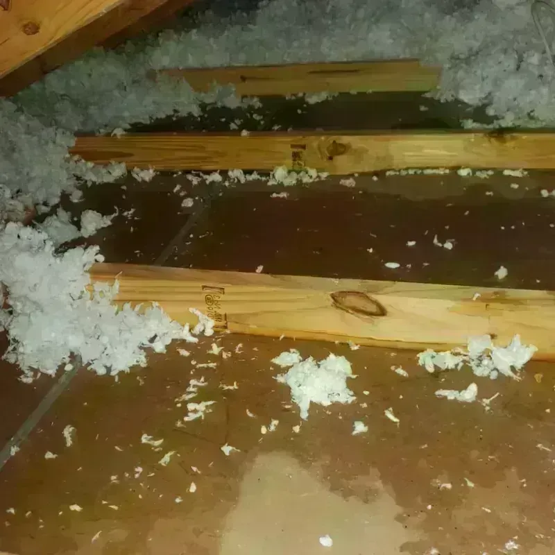 Attic Water Damage in Ocean Park, WA