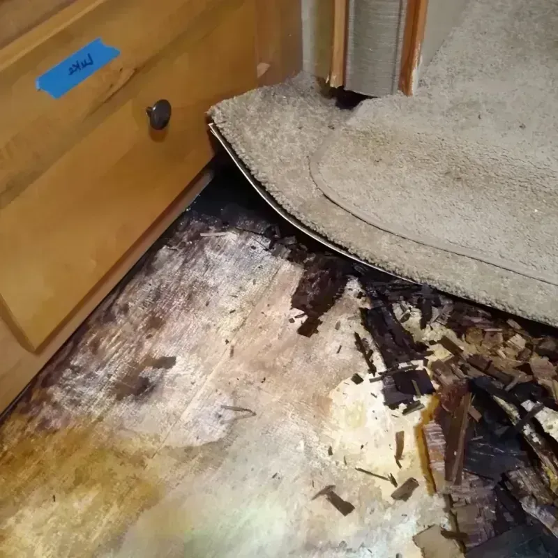 Wood Floor Water Damage in Ocean Park, WA